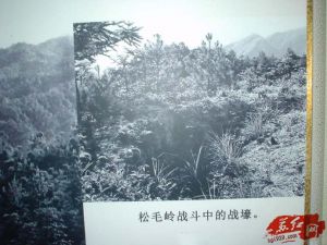 松毛岭战斗中的战壕 松毛岭战斗中的战壕