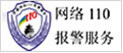 网络110