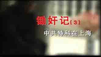 锄奸记：中共特