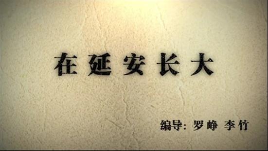 我的抗战：在延