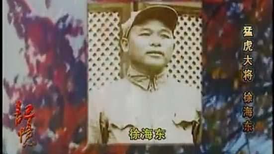 猛虎大将徐海东