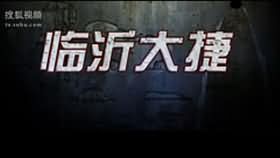 临沂大捷（下）