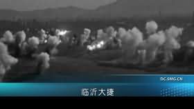 临沂大捷（上）