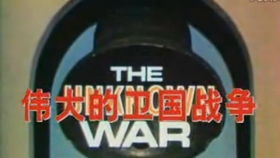 苏联卫国战争 游