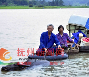 抚州：独一无二的水上交通