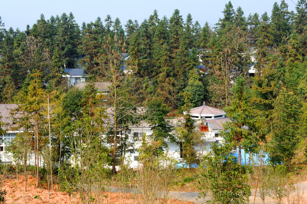 浦城县南浦琼旺休闲山庄