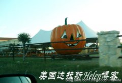 节日也疯狂：万圣节“